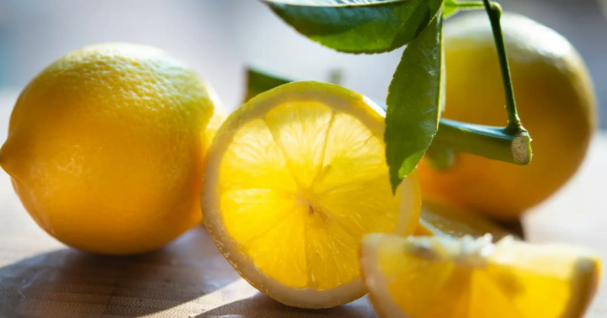 Amalfi lemon