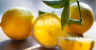 Limone di Amalfi
