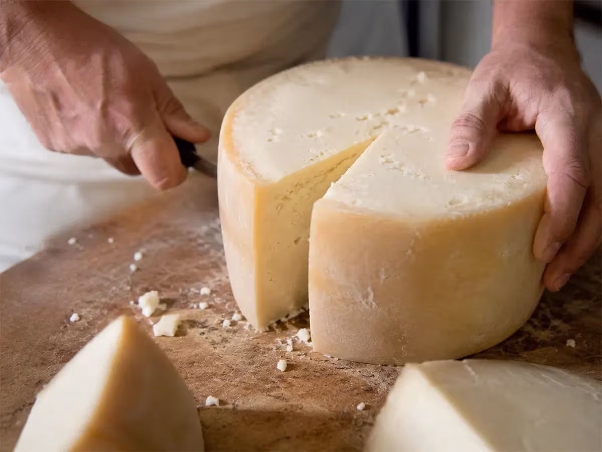 Mani di casaro che tagliano una forma intera di Asiago DOP con coltello su piano di marmo