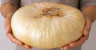 Giarratana Onion