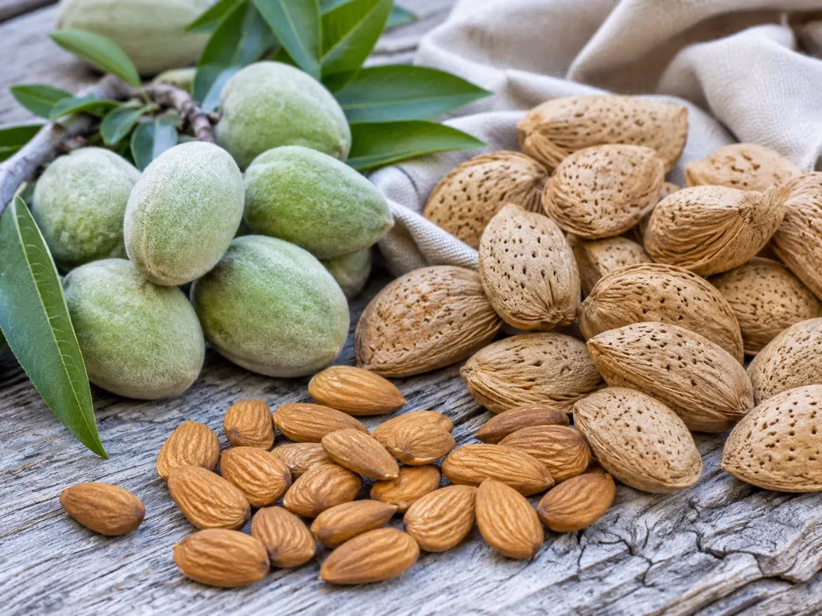 Mandorle fresche verdi su ramo accanto a mandorle con guscio e sgusciate su legno grigio