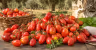 Manduria Cherry Tomato