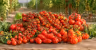 Pachino Tomato