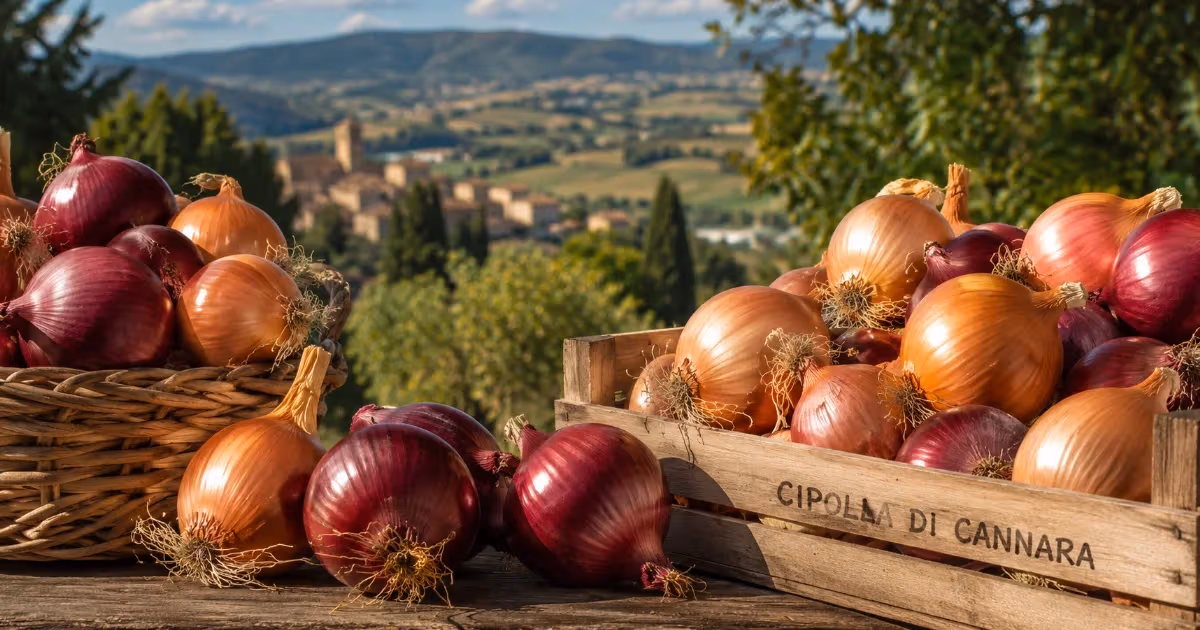 Cipolle di Cannara dorate e rosse in cassetta di legno con paesaggio umbro sullo sfondo