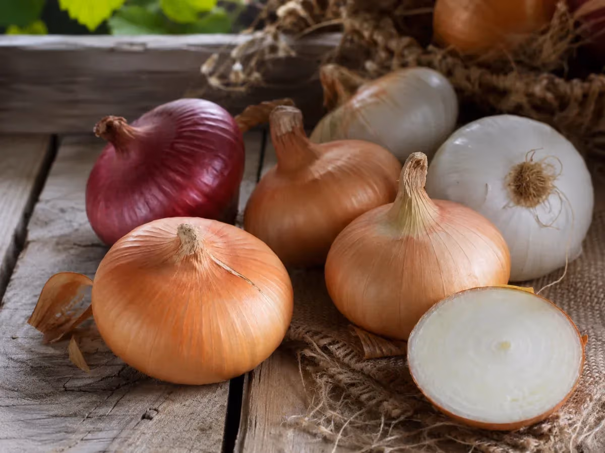Varietà di cipolle dorate rosse e bianche su superficie in legno rustico con tela di juta
