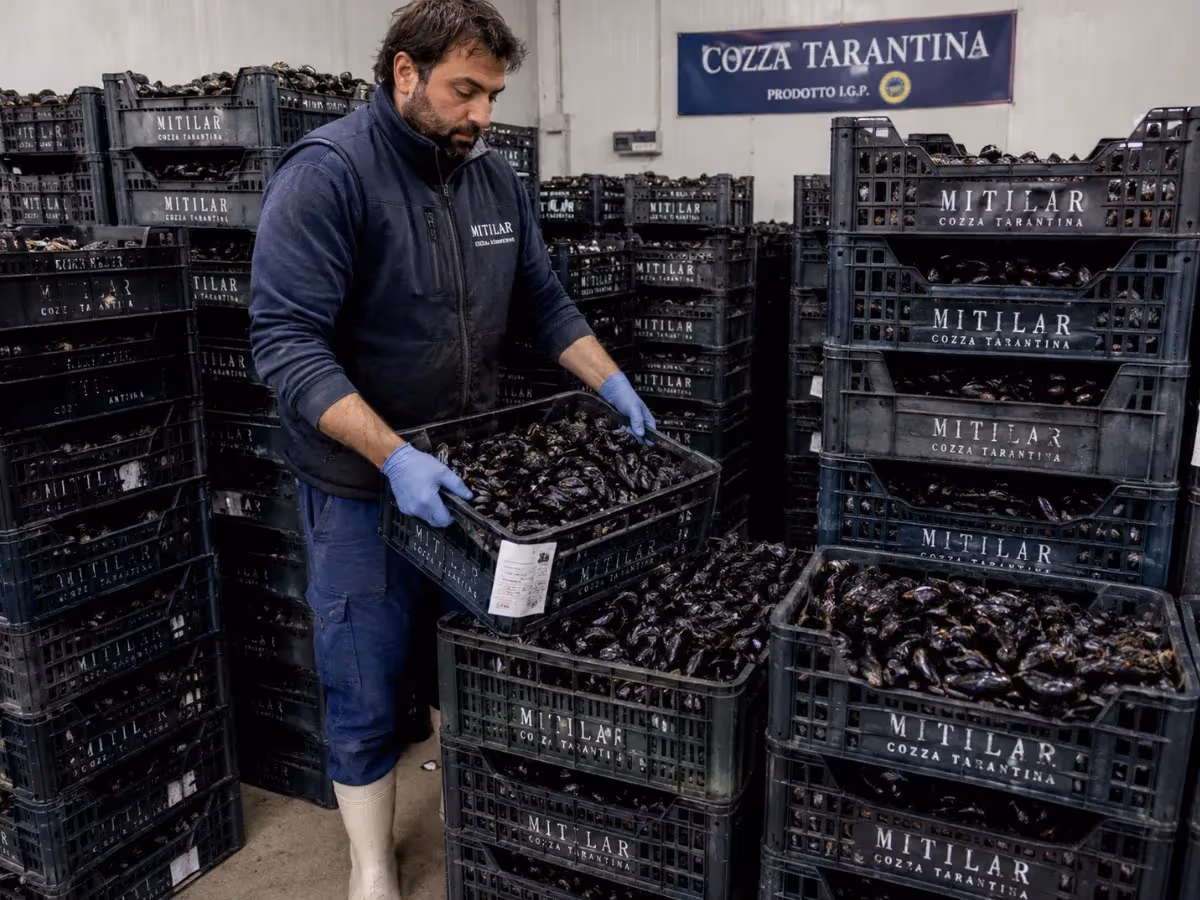 Operatore sistema cassette nere di cozza tarantina IGP nel magazzino Mitilar