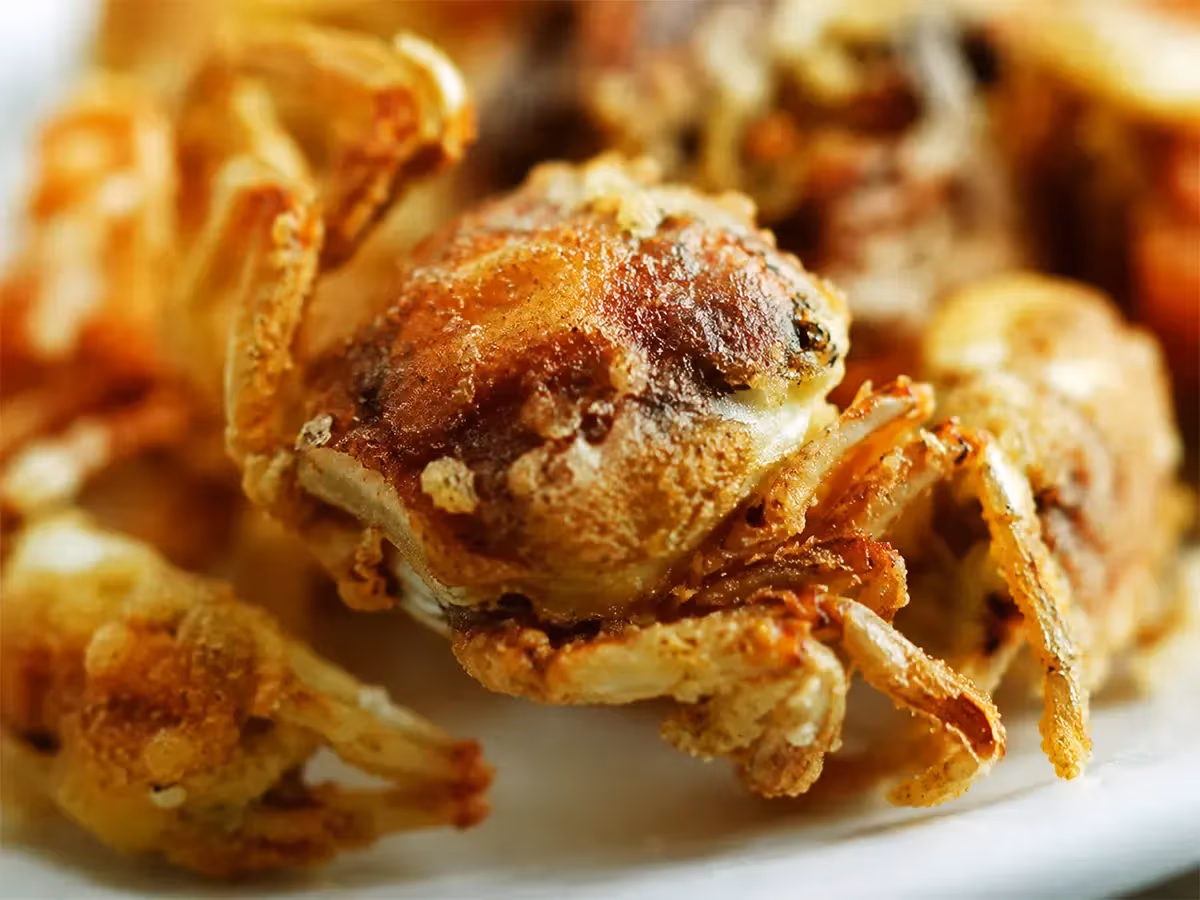 Moeca fritta dorata con carapace croccante in primo piano su piatto bianco