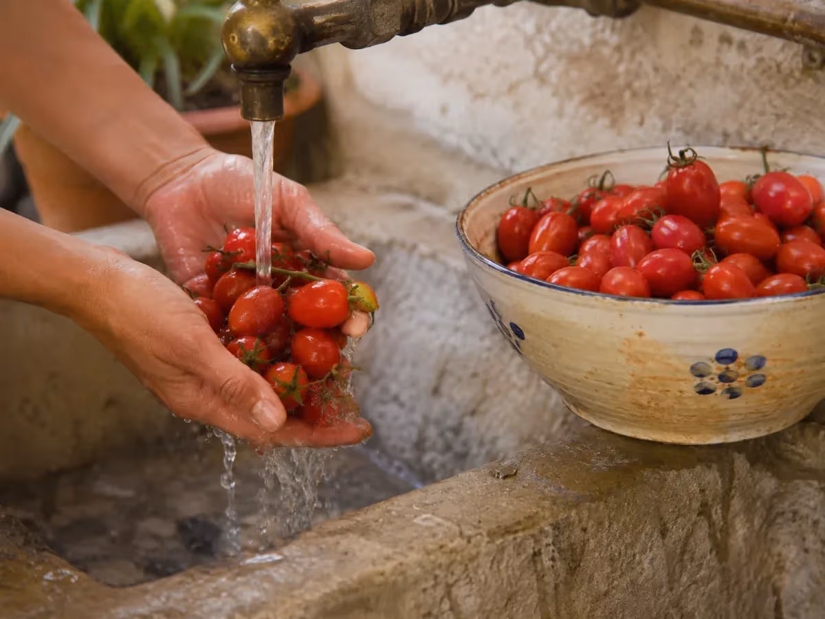 Mani che lavano pomodorini di Manduria rossi sotto acqua corrente a fontana in pietra antica