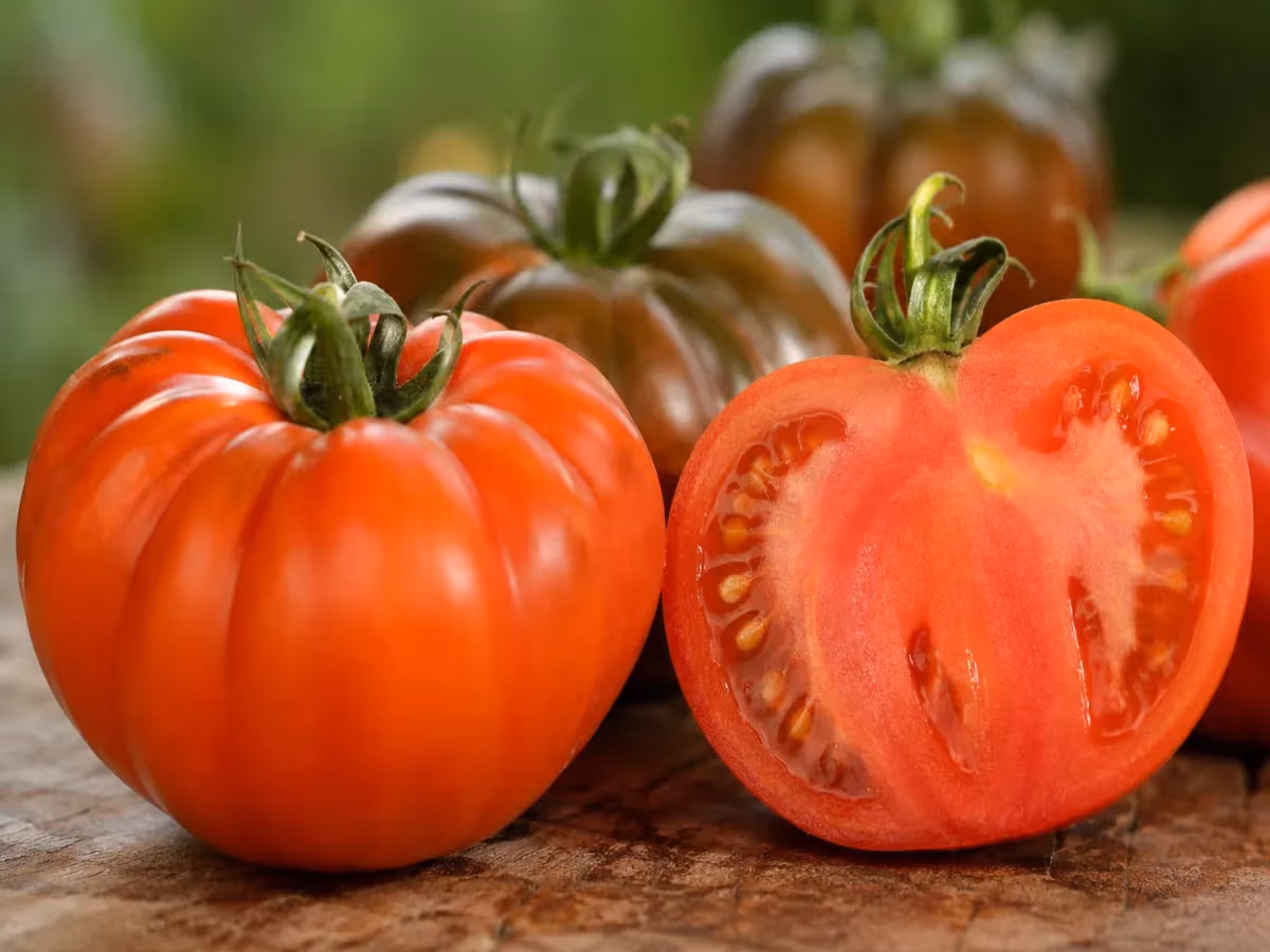 Pomodoro costoluto intero e mezzo tagliato con polpa rossa e semi ben visibili