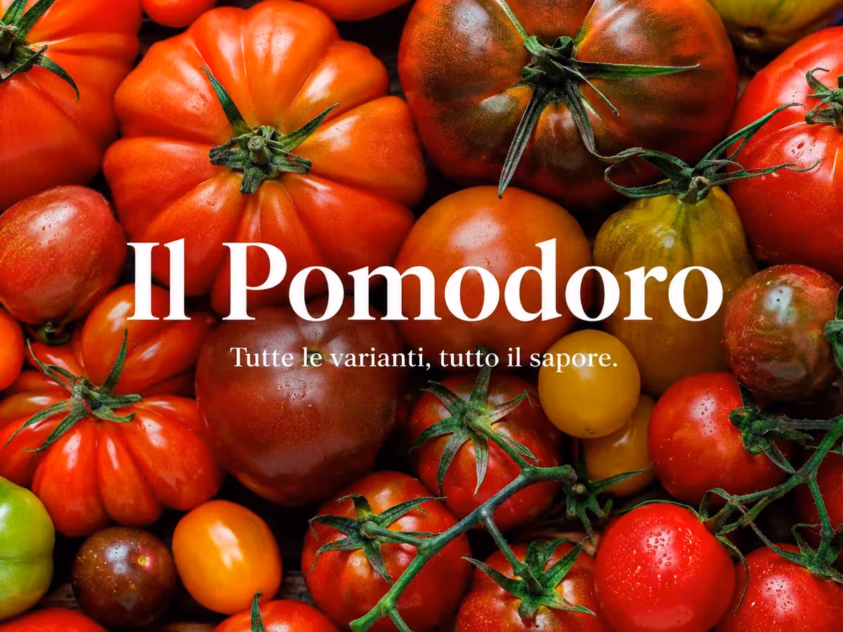 Composizione ravvicinata di varietà di pomodori costoluti ciliegino e allungati rosso intenso