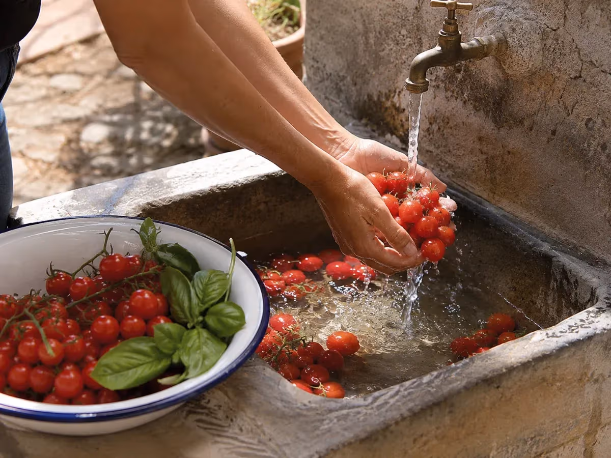 Mani che lavano pomodorini ciliegino rossi sotto acqua corrente in lavatoio di pietra antico
