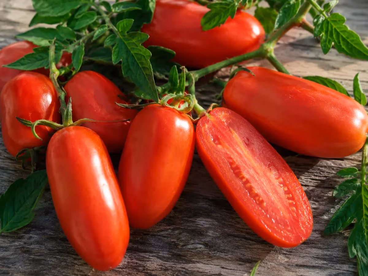 Pomodori San Marzano allungati rosso brillante su legno rustico uno tagliato a metà con foglie verdi