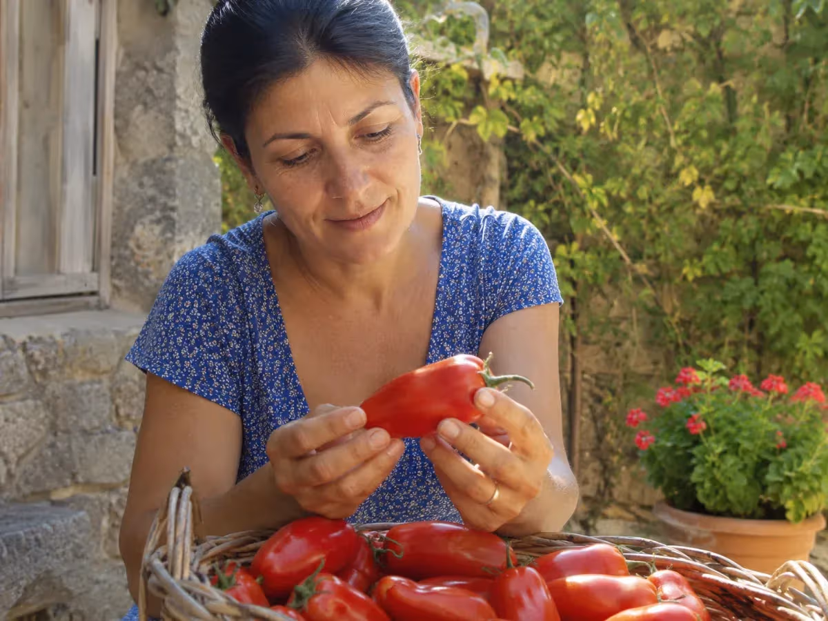 Donna sorridente esamina pomodoro San Marzano fresco dal cesto di vimini in giardino soleggiato